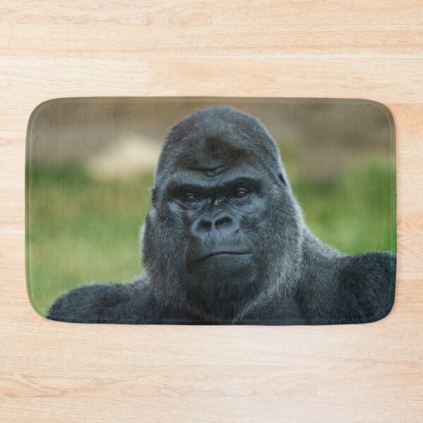 Item preview, The Boss - The Silverback designed and sold by rawshutterbug.