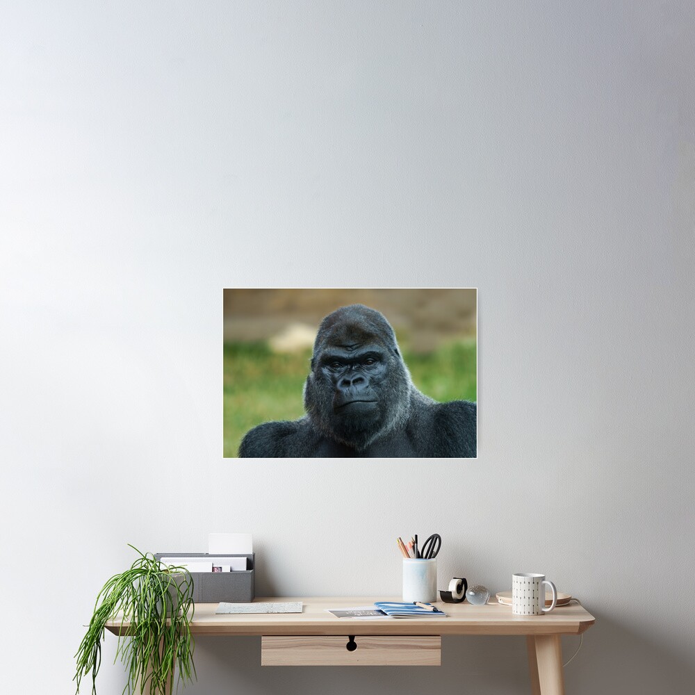 Item preview, Poster designed and sold by rawshutterbug.