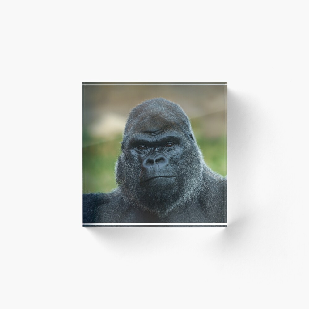 Item preview, Acrylic Block designed and sold by rawshutterbug.