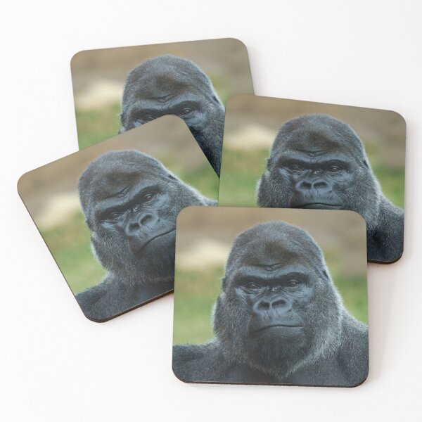 Item preview, The Boss - The Silverback designed and sold by rawshutterbug.