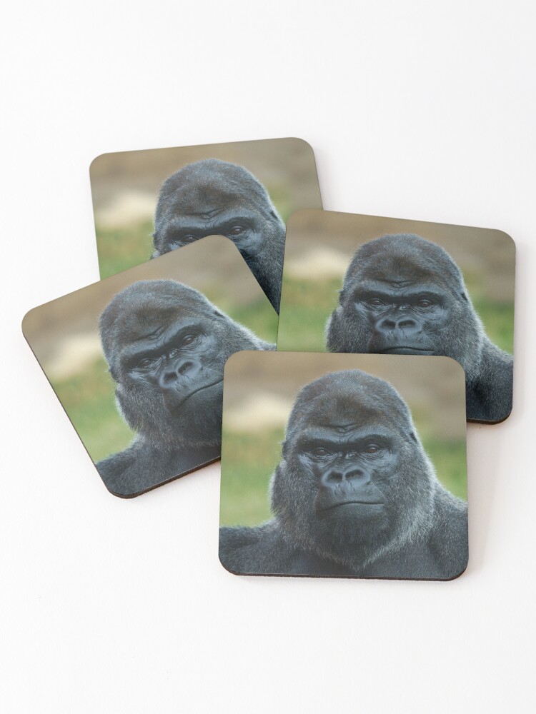 Thumbnail 1 of 5, Coasters (Set of 4), The Boss - The Silverback designed and sold by rawshutterbug.