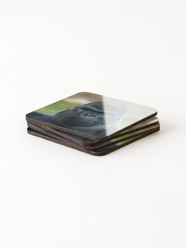 Thumbnail 4 of 5, Coasters (Set of 4), The Boss - The Silverback designed and sold by rawshutterbug.