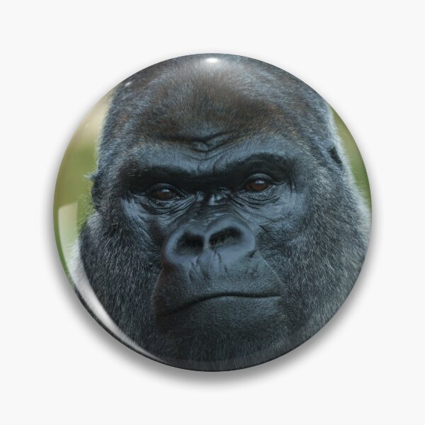 Item preview, The Boss - The Silverback designed and sold by rawshutterbug.
