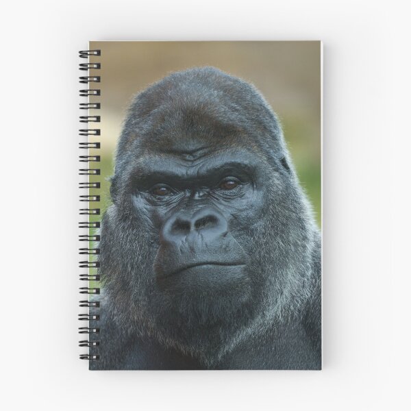 Item preview, The Boss - The Silverback designed and sold by rawshutterbug.