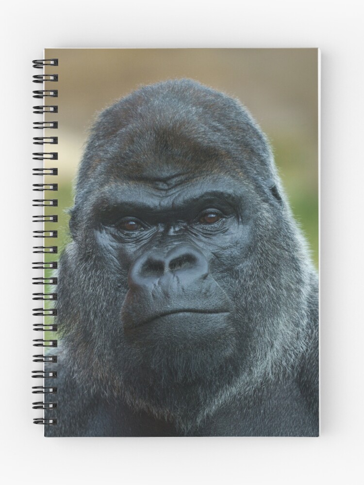 Thumbnail 1 of 3, Journal, The Boss - The Silverback designed and sold by rawshutterbug.