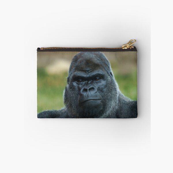 Item preview, The Boss - The Silverback designed and sold by rawshutterbug.