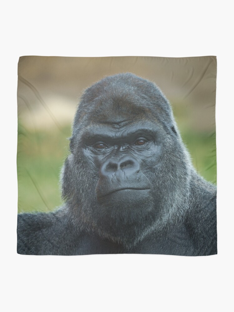 Thumbnail 2 of 3, Scarf, The Boss - The Silverback designed and sold by rawshutterbug.