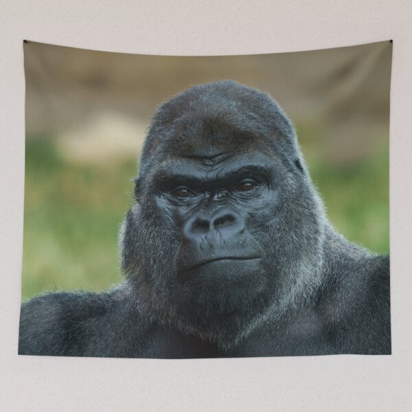 Item preview, The Boss - The Silverback designed and sold by rawshutterbug.