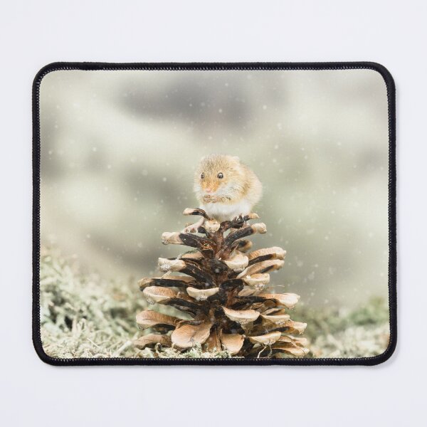 Item preview, Pine Cone Mouse II designed and sold by Jane Stanley Photography.
