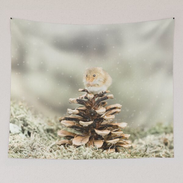Item preview, Pine Cone Mouse II designed and sold by Jane Stanley Photography.
