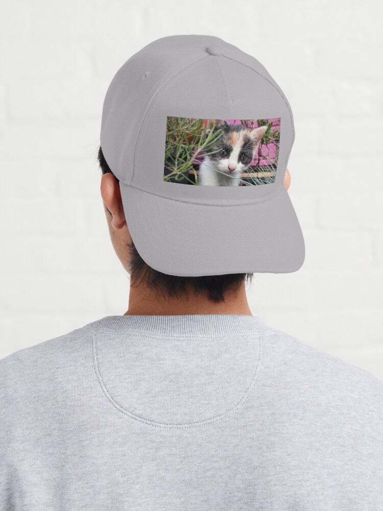 Alternative Ansicht von Katze Amy entdeckt den Garten Cap