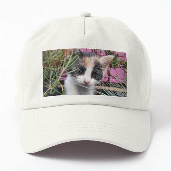 Katze Amy entdeckt den Garten Dad Hat