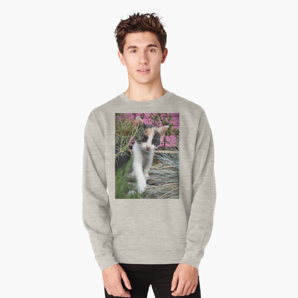 Artikel-Vorschau von Pullover, designt und verkauft von Gourmetkater.