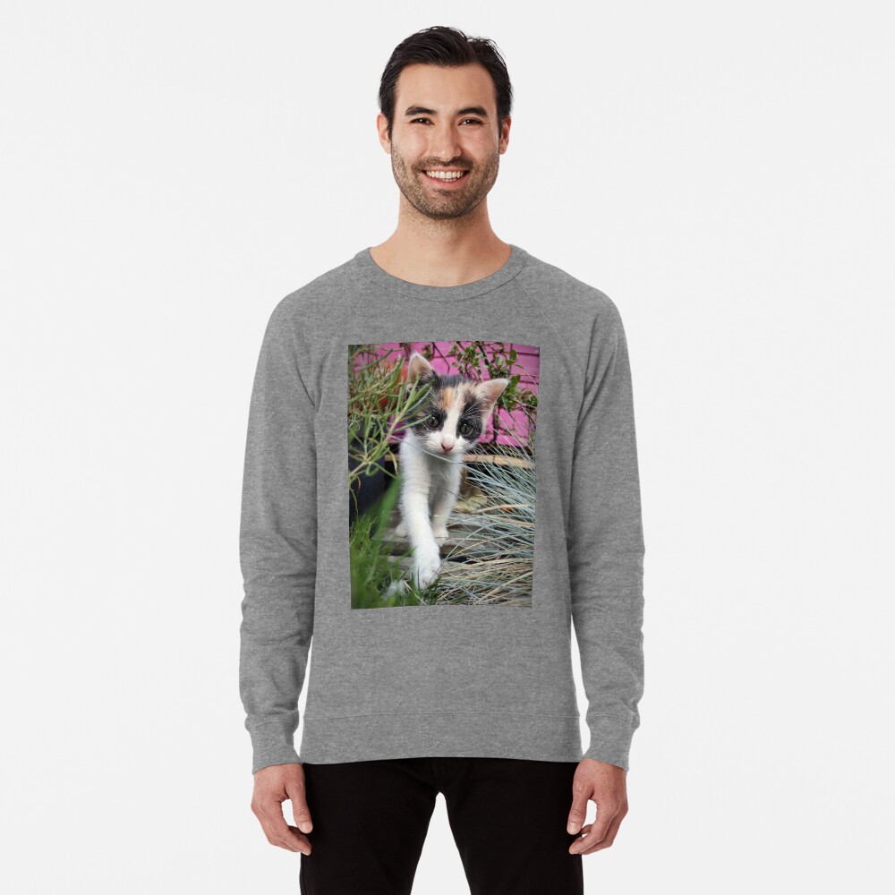 Artikel-Vorschau von Leichter Pullover, designt und verkauft von Gourmetkater.