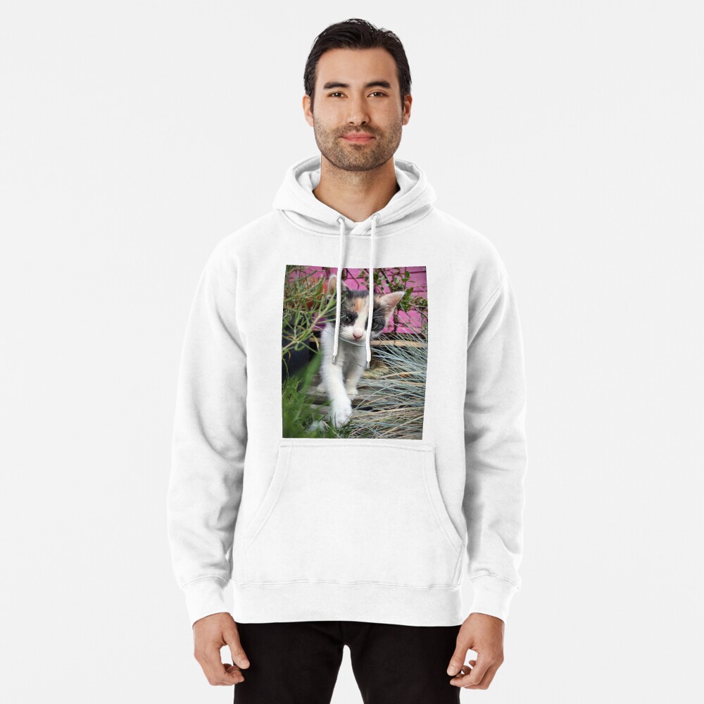 Artikel-Vorschau von Hoodie, designt und verkauft von Gourmetkater.