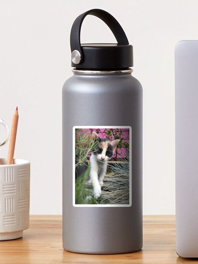 Thumbnail 1 von 3, Sticker, Katze Amy entdeckt den Garten designt und verkauft von Gourmetkater.