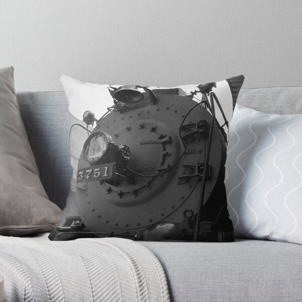 Throw Pillow