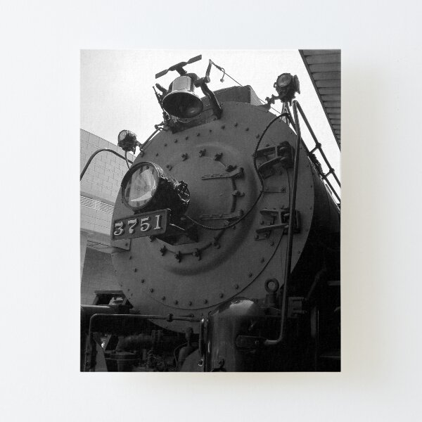 Canvas Mounted Print