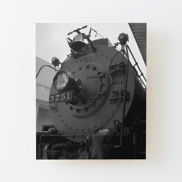 Wood Mounted Print