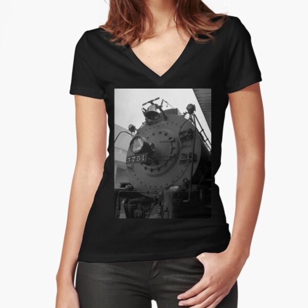 Fitted V-Neck T-Shirt