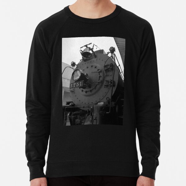 Lightweight Sweatshirt