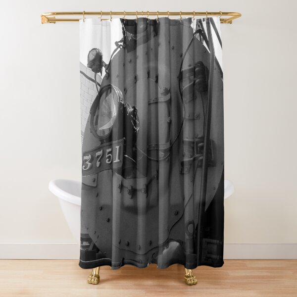 Shower Curtain