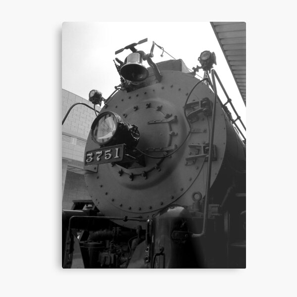 Metal Print
