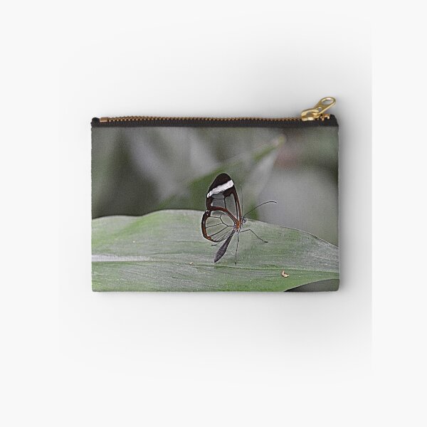Item preview, Glasswing designed and sold by Anne Smyth.