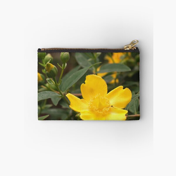 Item preview, Hypericum Calcynum designed and sold by WatscapePhoto.