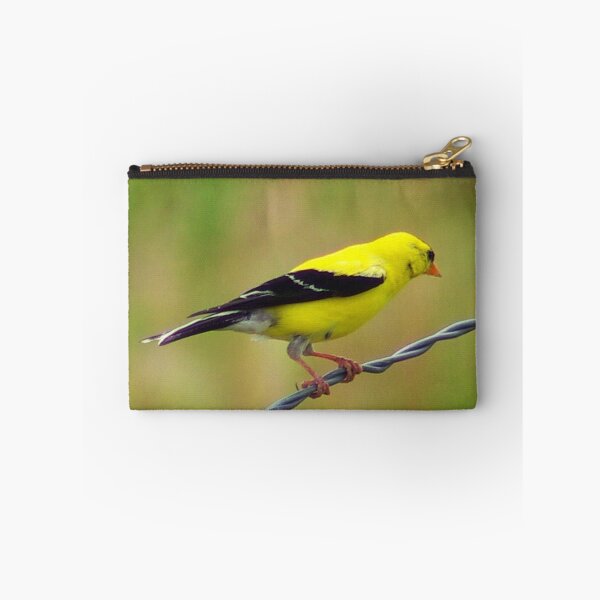 Item preview, American Goldfinch designed and sold by Klaus Girk.