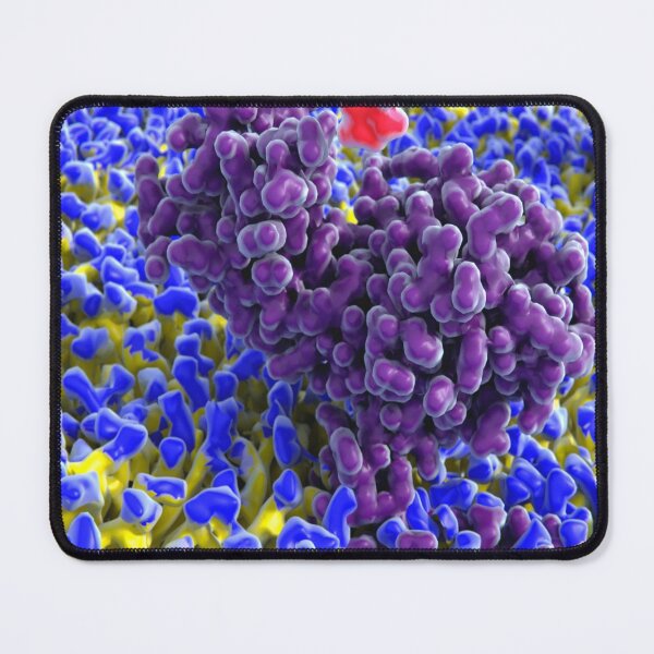 Item preview, MICROBIOLOGY 3D GENERATED MEDICAL LABORATORY SCIENTIST designed and sold by Hippiesole.