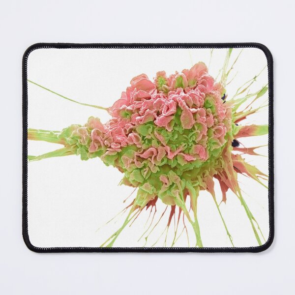 Item preview, MICROBIOLOGY SEM DENDRIC CELL MEDICAL LABORATORY SCIENTIST designed and sold by Hippiesole.