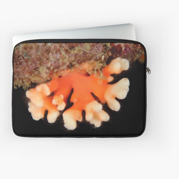 Hydrocoral Laptop Sleeve