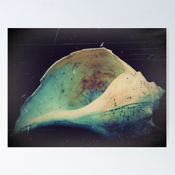 Item preview, shell designed and sold by abstractbYmina.