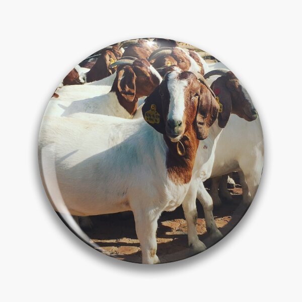 Item preview, Boer Goat designed and sold by bayli-quick.