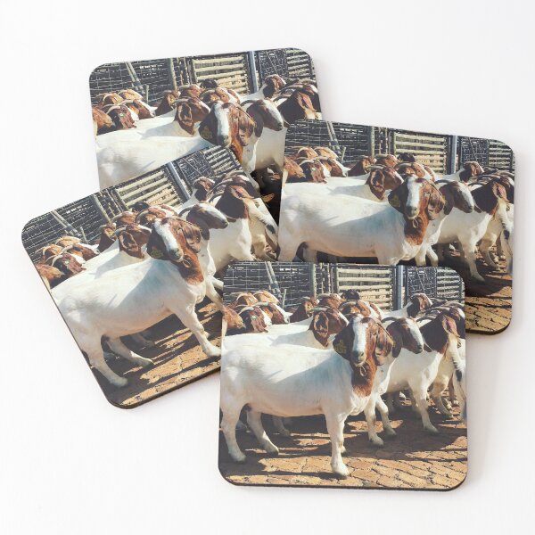Item preview, Boer Goat designed and sold by bayli-quick.