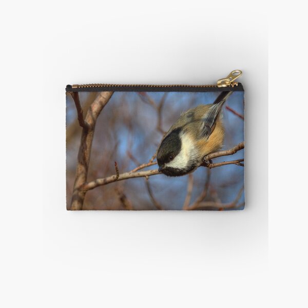 Item preview, Chickadee Launch designed and sold by James (820Photography) Anderson.