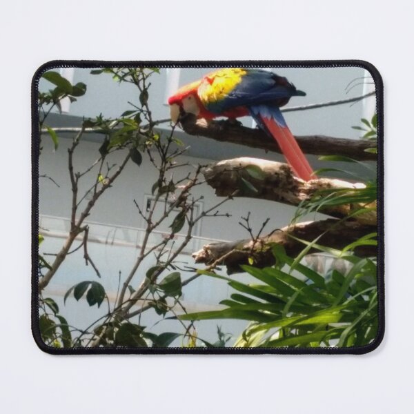 Item preview, Parrot designed and sold by Justhavefun101.