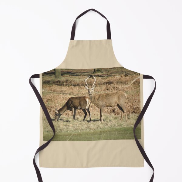 Item preview, Male Red Deer Guarding His Female Photograph designed and sold by naturegallery.