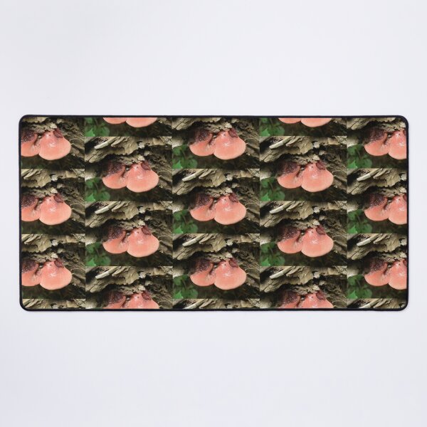 Beefsteak Fungus Fistulina hepatica Photograph Desk Mat