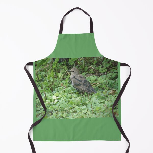 Item preview, Cute Little Starling in Winter Plumage Photograph designed and sold by naturegallery.