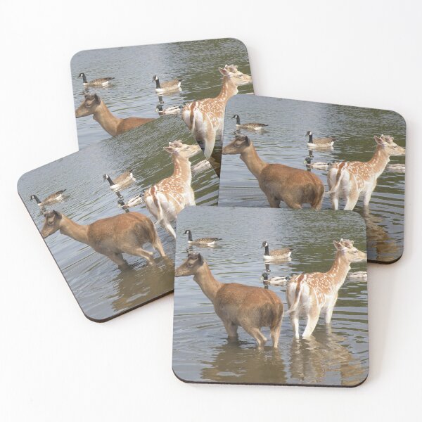 Item preview, Male Fallow Deer Taking A Dip Photograph designed and sold by naturegallery.