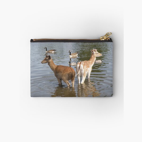 Item preview, Male Fallow Deer Taking A Dip Photograph designed and sold by naturegallery.