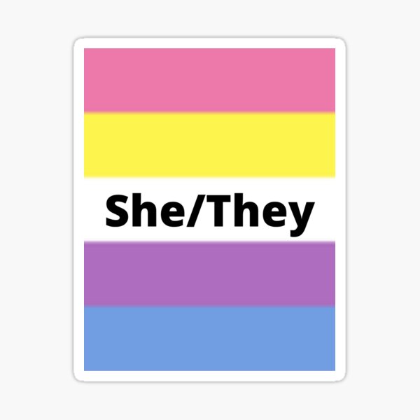 "Bigender flag with she/they pronouns" Sticker for Sale by