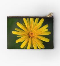 Launaea angustifolia Studio Pouch