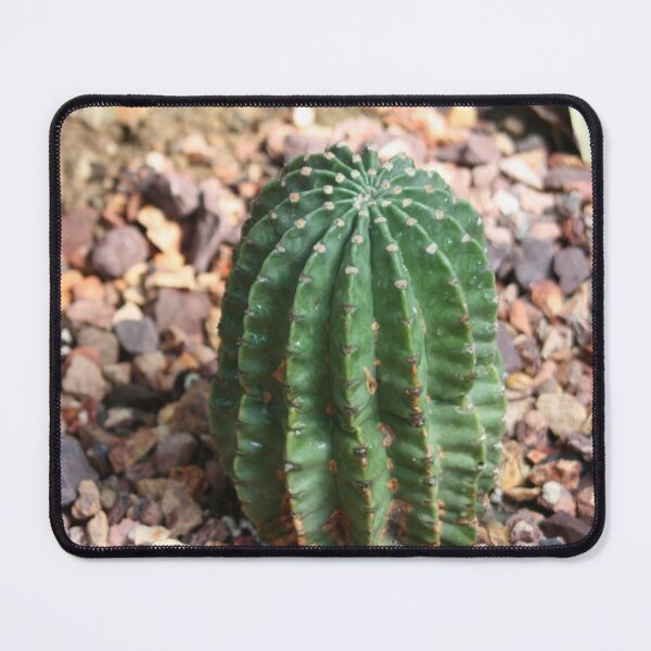 Item preview, Cactus 2 designed and sold by Seerce-Photos.