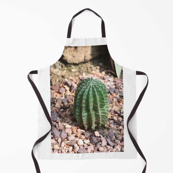 Item preview, Cactus 2 designed and sold by Seerce-Photos.