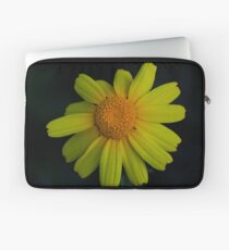 Chrysanthemum coronarium Laptop Sleeve