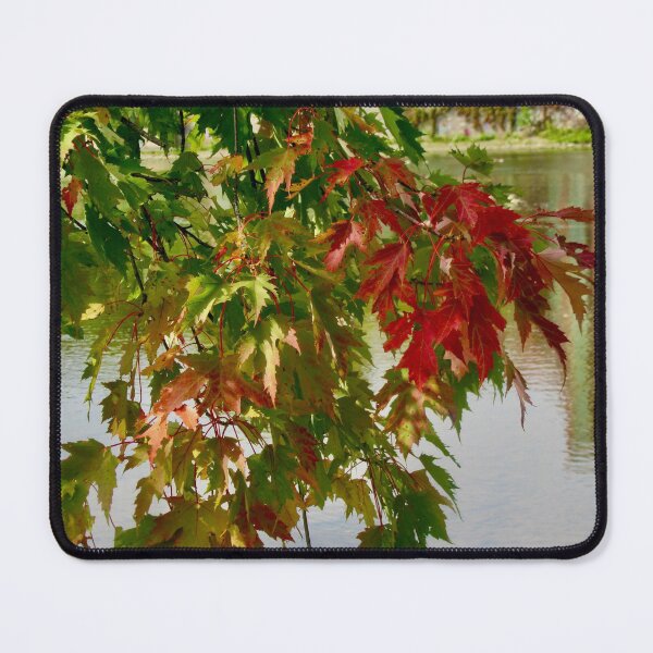 Item preview, Fall Leaves designed and sold by Shulie1.