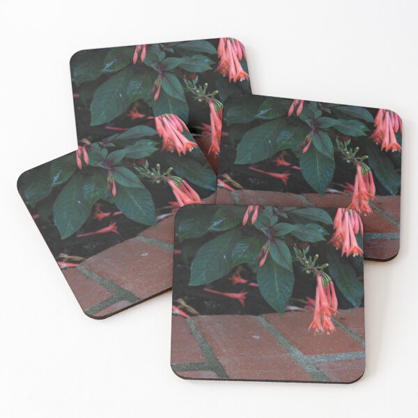 Item preview, Pink flowers above bricks designed and sold by Seerce-Photos.